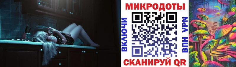 Псилоцибиновые грибы Psilocybe купить закладку hydra ONION Чита